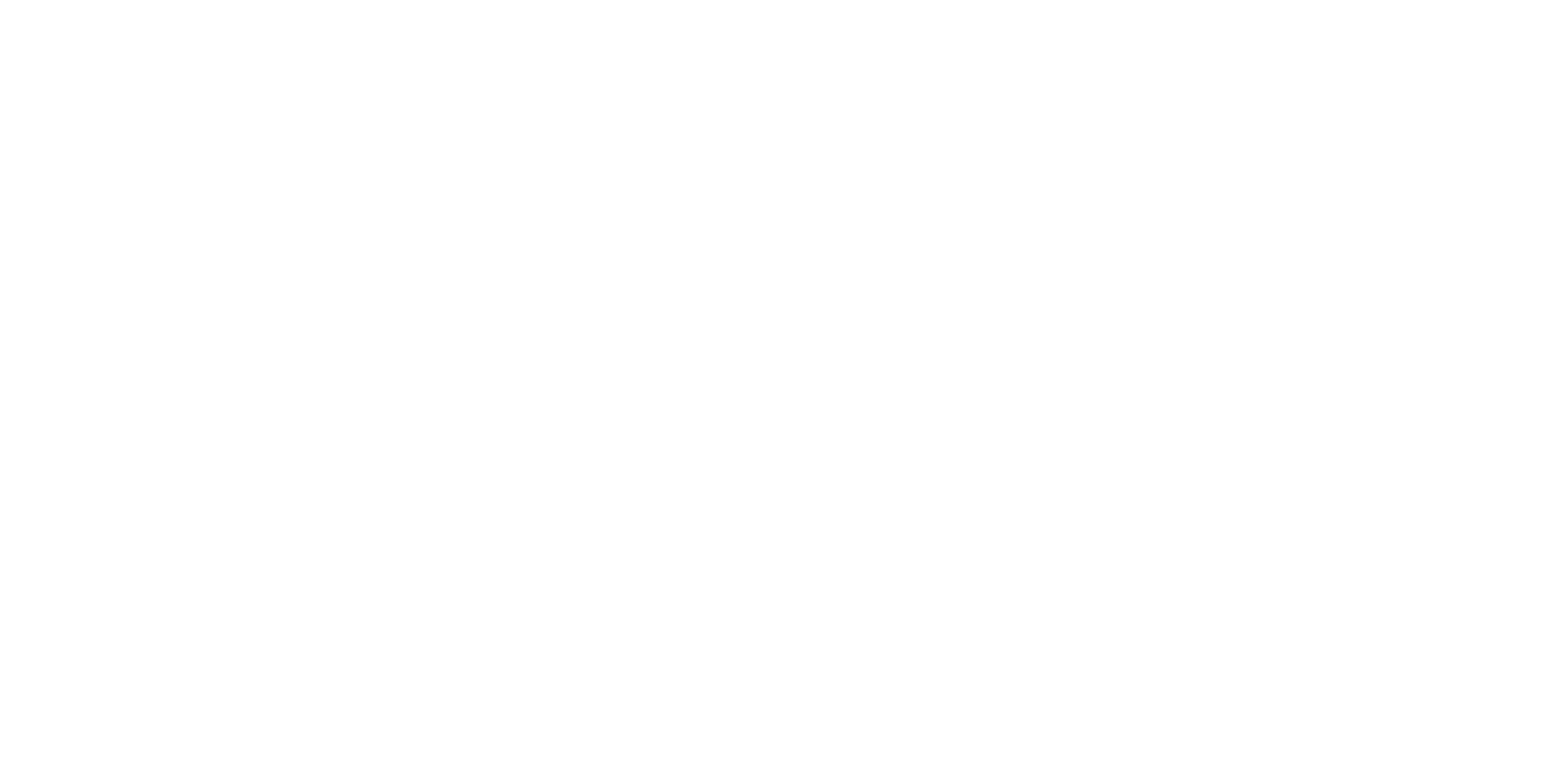 Logo Rice Up