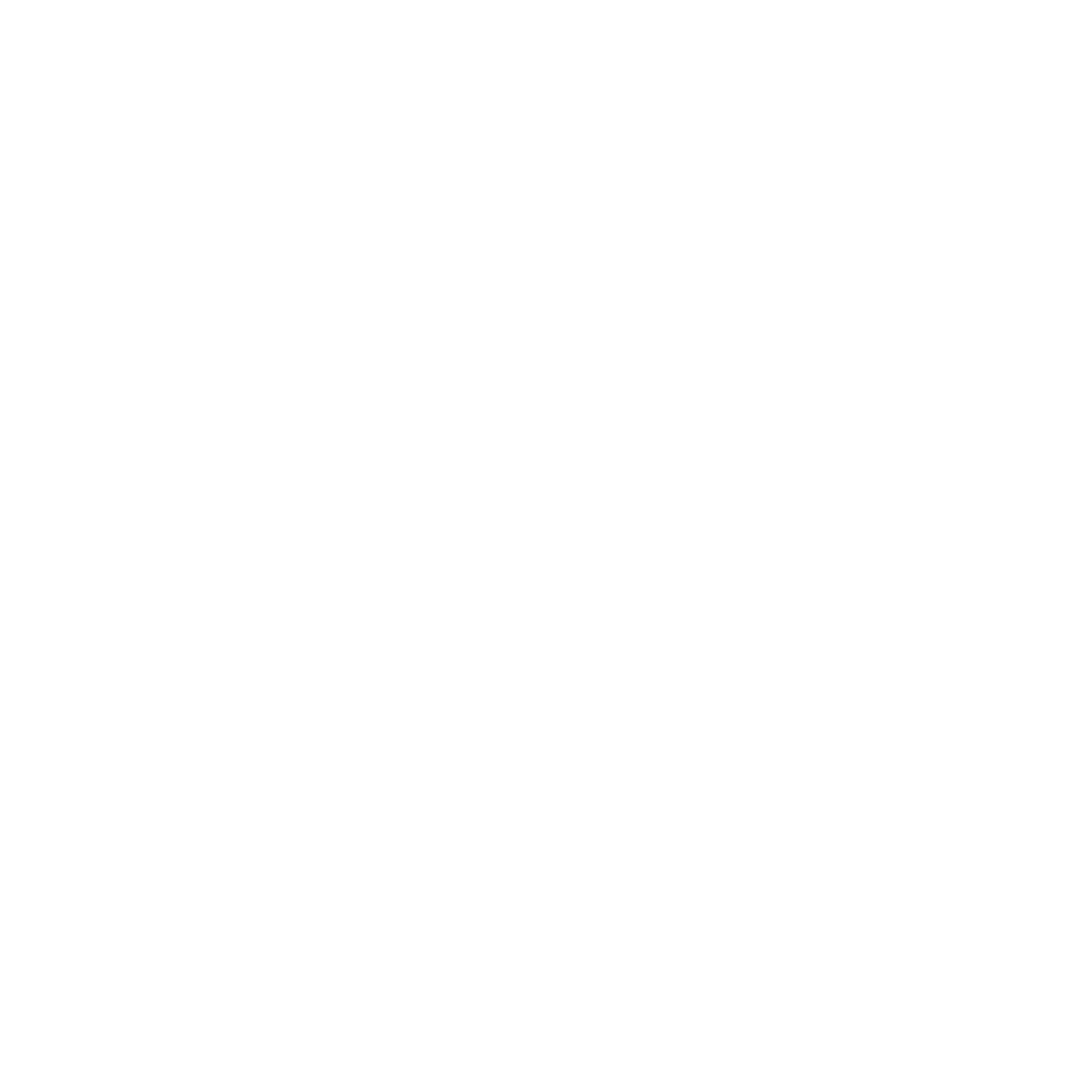 Logo SCAYLA