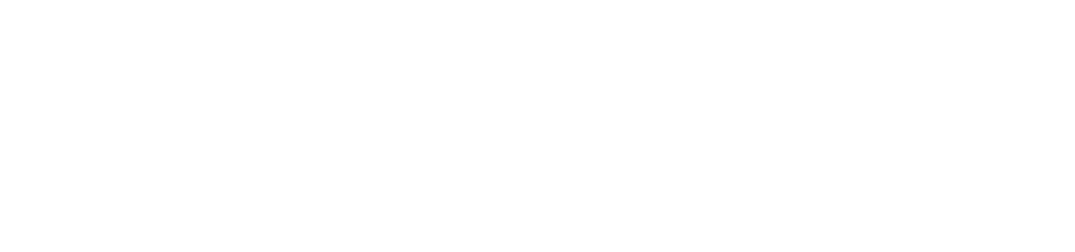 CarbonOcean